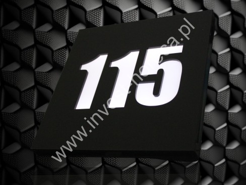 Door number LED backlit